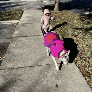 Fundraising Page: Tiffany Cargile